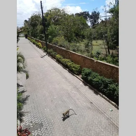 Asali Nyali, 2Br Staycation Apartment 9 Min To The Beach Mombasa Exterior foto