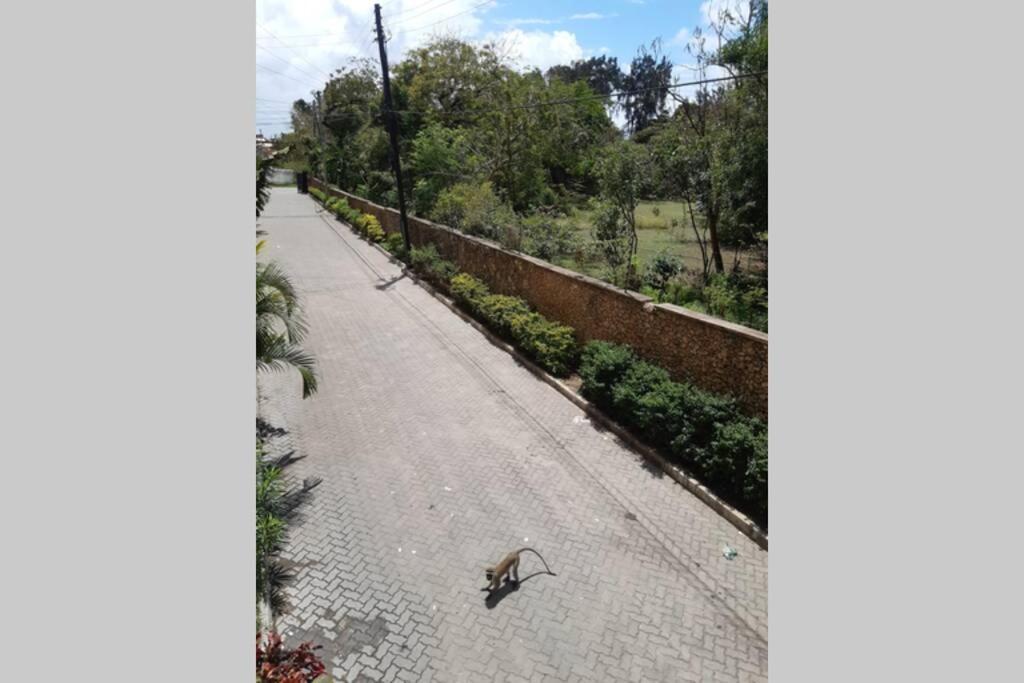 Asali Nyali, 2br Staycation 9 Min To The Apartment